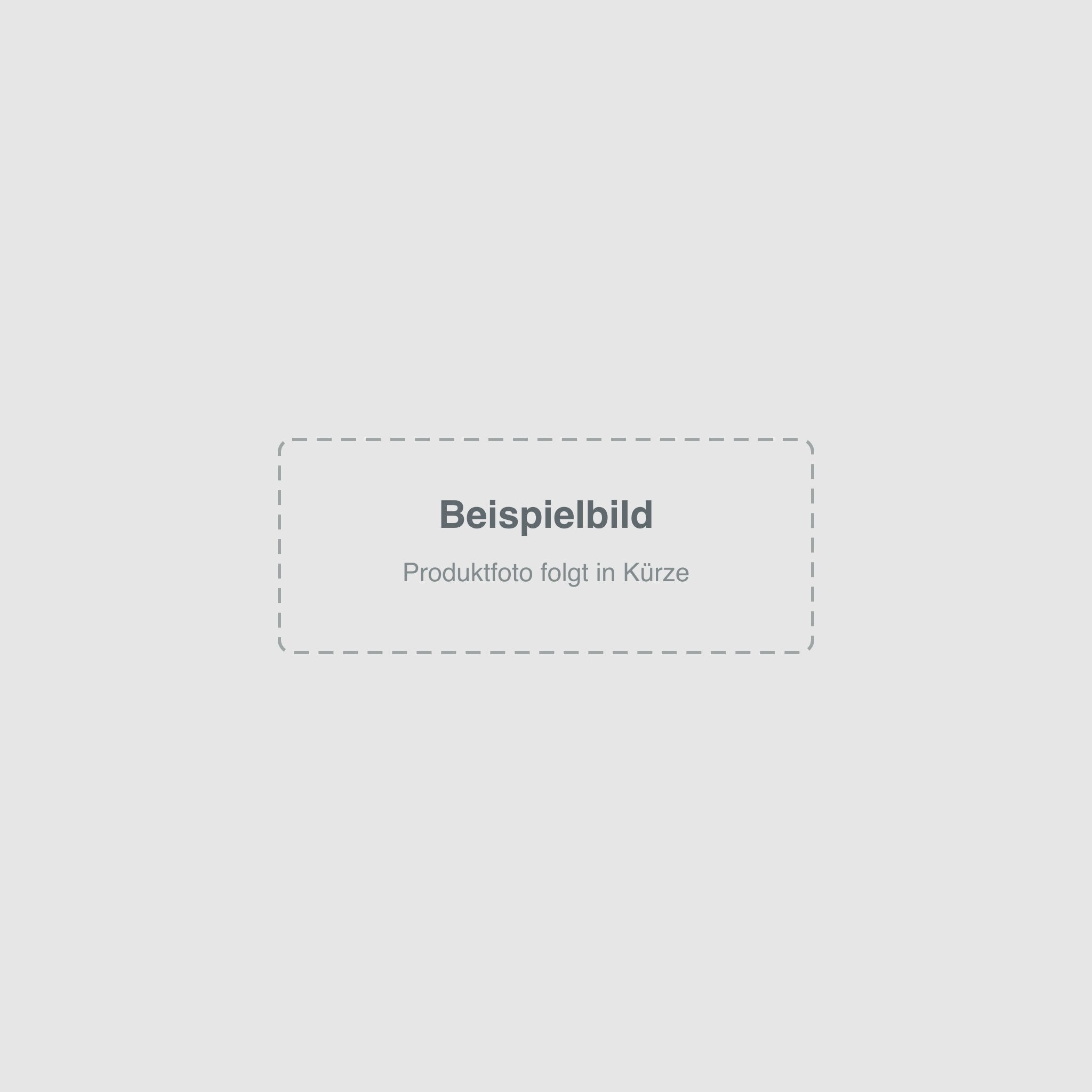 Seat Media System 2.2 (RNS315) – Beispielbild, Produktfoto folgt